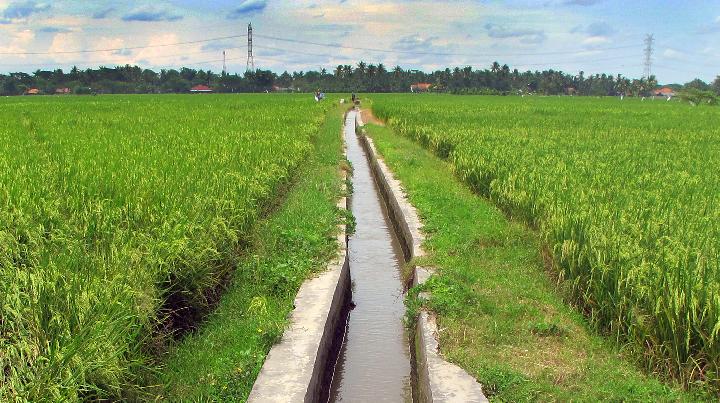 Detail Gambar Irigasi Sawah Nomer 20