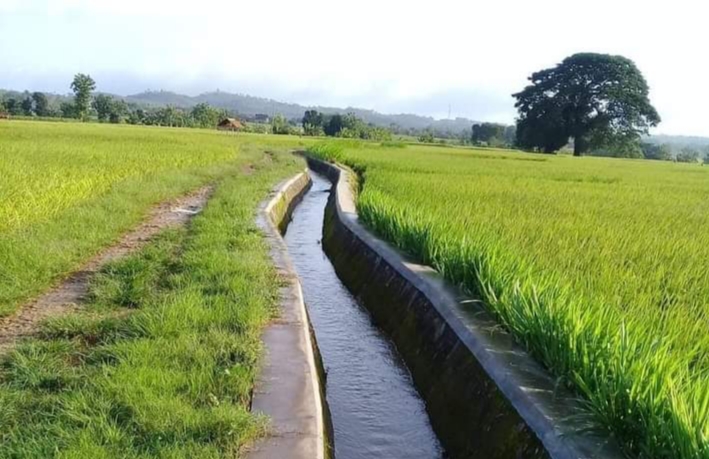 Detail Gambar Irigasi Sawah Nomer 24