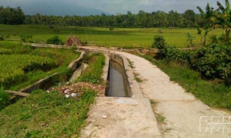 Detail Gambar Irigasi Sawah Nomer 40