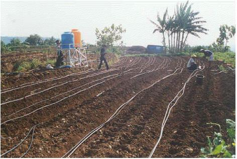 Detail Gambar Irigasi Tetes Nomer 15