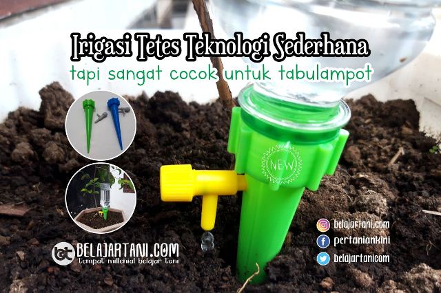 Detail Gambar Irigasi Tetes Nomer 16