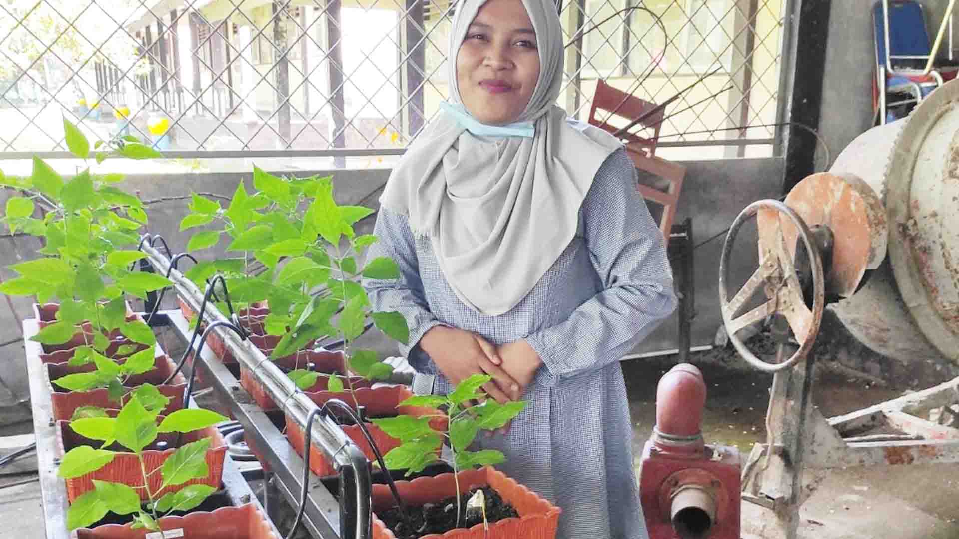 Detail Gambar Irigasi Tetes Nomer 23