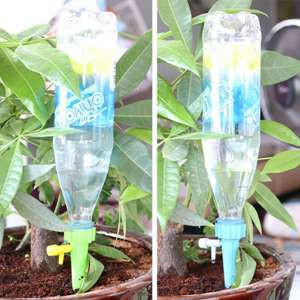 Detail Gambar Irigasi Tetes Nomer 34
