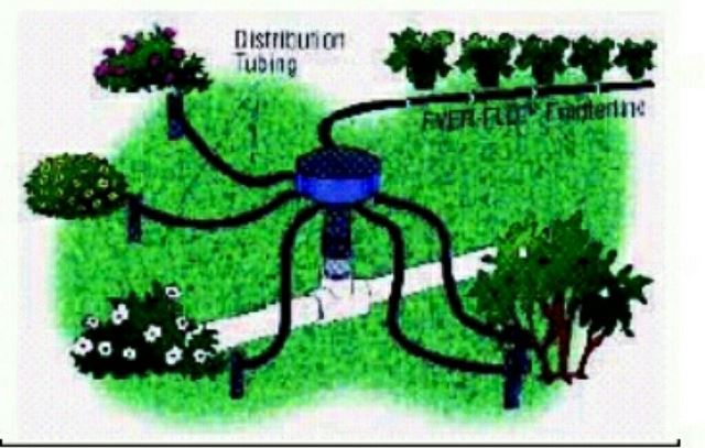Detail Gambar Irigasi Tetes Nomer 43