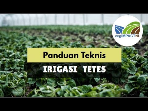 Detail Gambar Irigasi Tetes Nomer 47