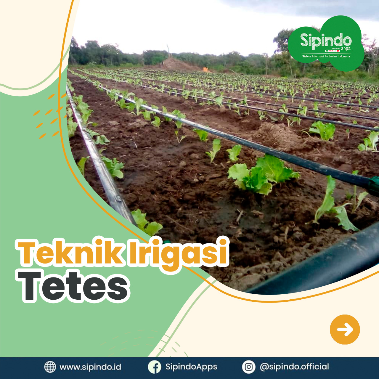 Detail Gambar Irigasi Tetes Nomer 48