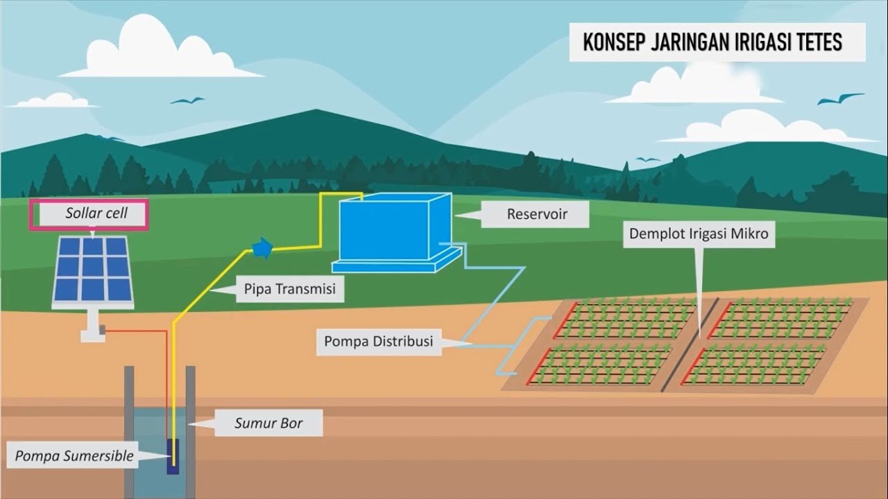 Detail Gambar Irigasi Tetes Nomer 8