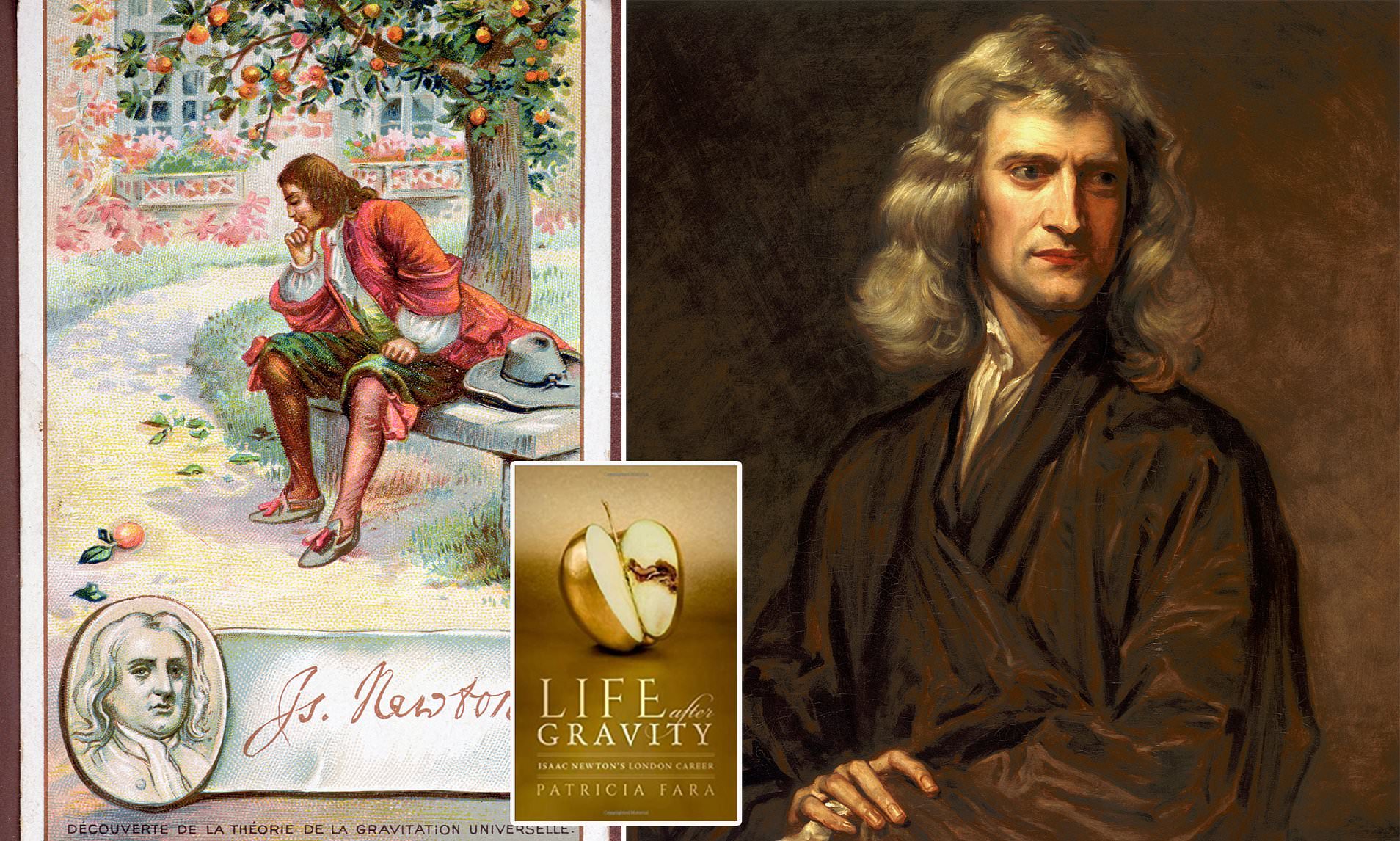 Detail Gambar Isaac Newton Nomer 35