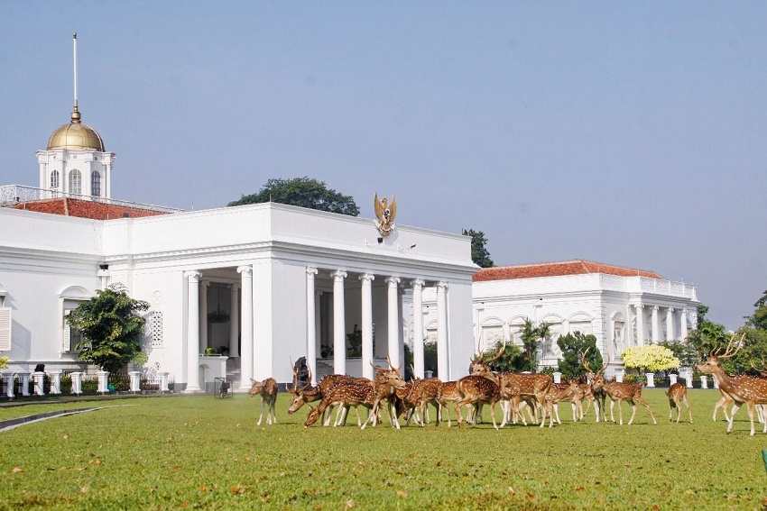 Detail Gambar Istana Bogor Nomer 7