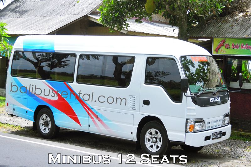 Detail Gambar Isuzu Elf Short Nomer 19