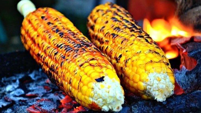 Detail Gambar Jagung Bakar Nomer 7