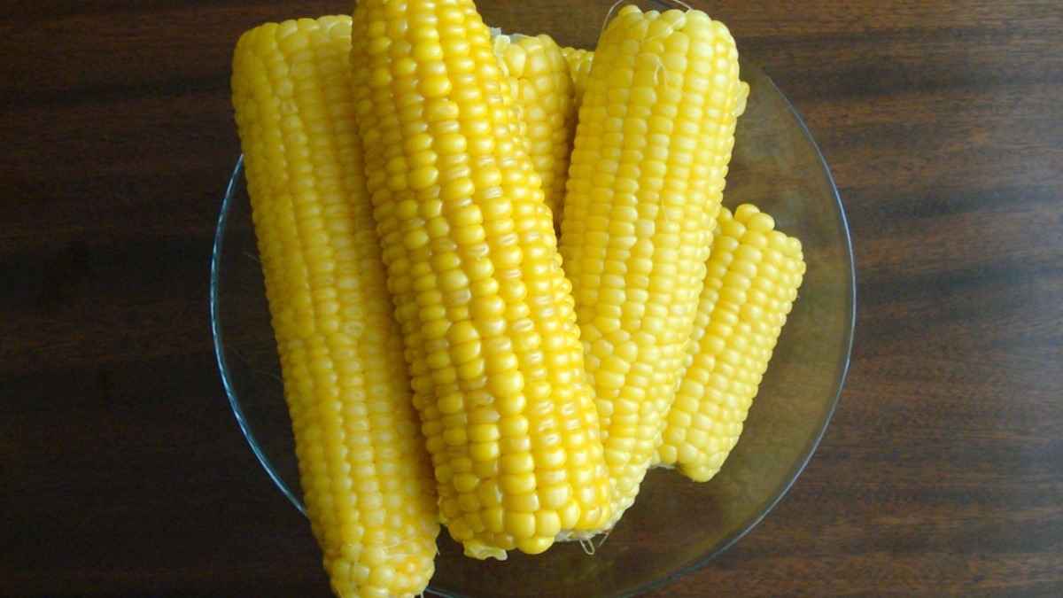 Detail Gambar Jagung Rebus Nomer 18