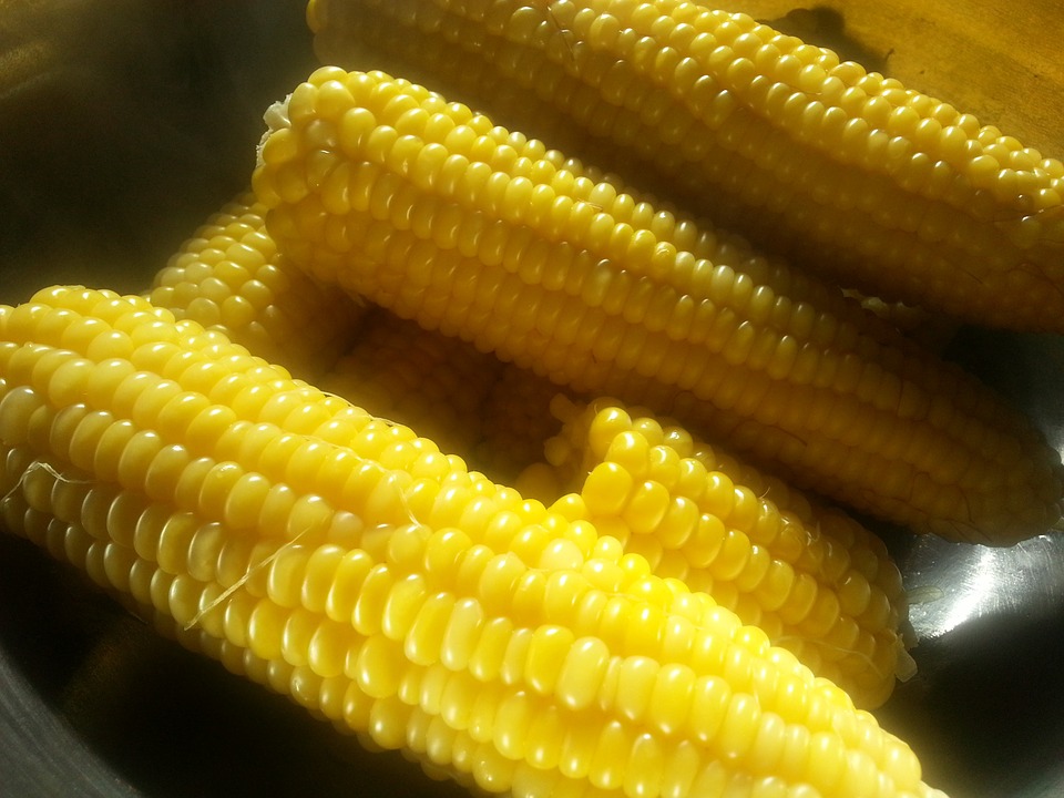 Detail Gambar Jagung Rebus Nomer 38