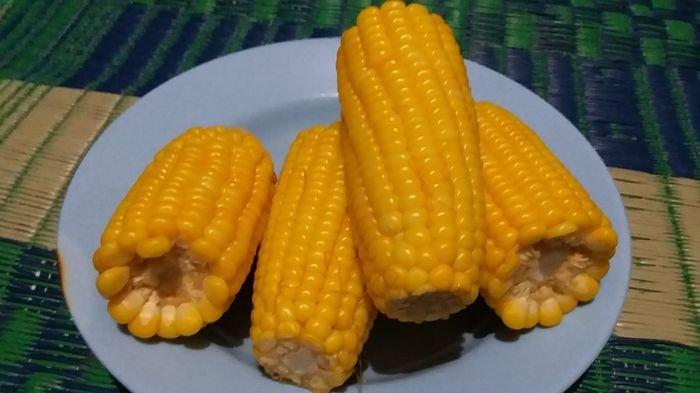 Detail Gambar Jagung Rebus Nomer 50