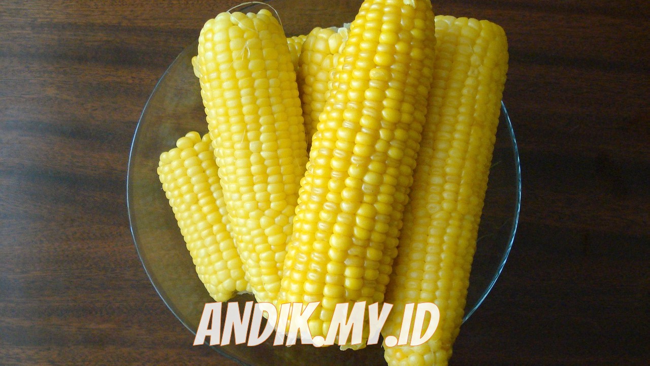 Detail Gambar Jagung Rebus Nomer 53