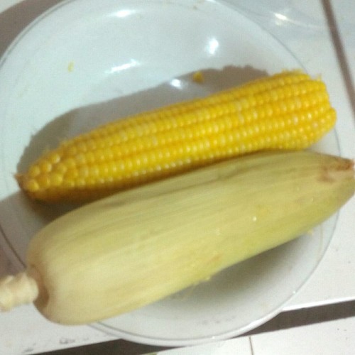 Detail Gambar Jagung Rebus Nomer 9