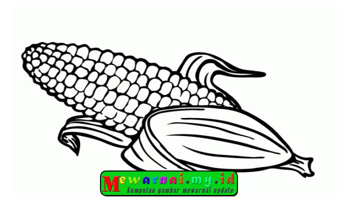 Detail Gambar Jagung Untuk Diwarnai Nomer 4