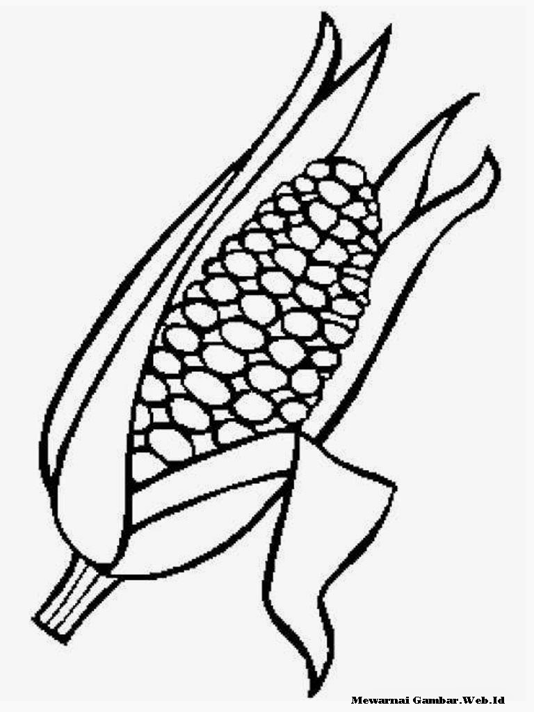 Detail Gambar Jagung Untuk Diwarnai Nomer 6