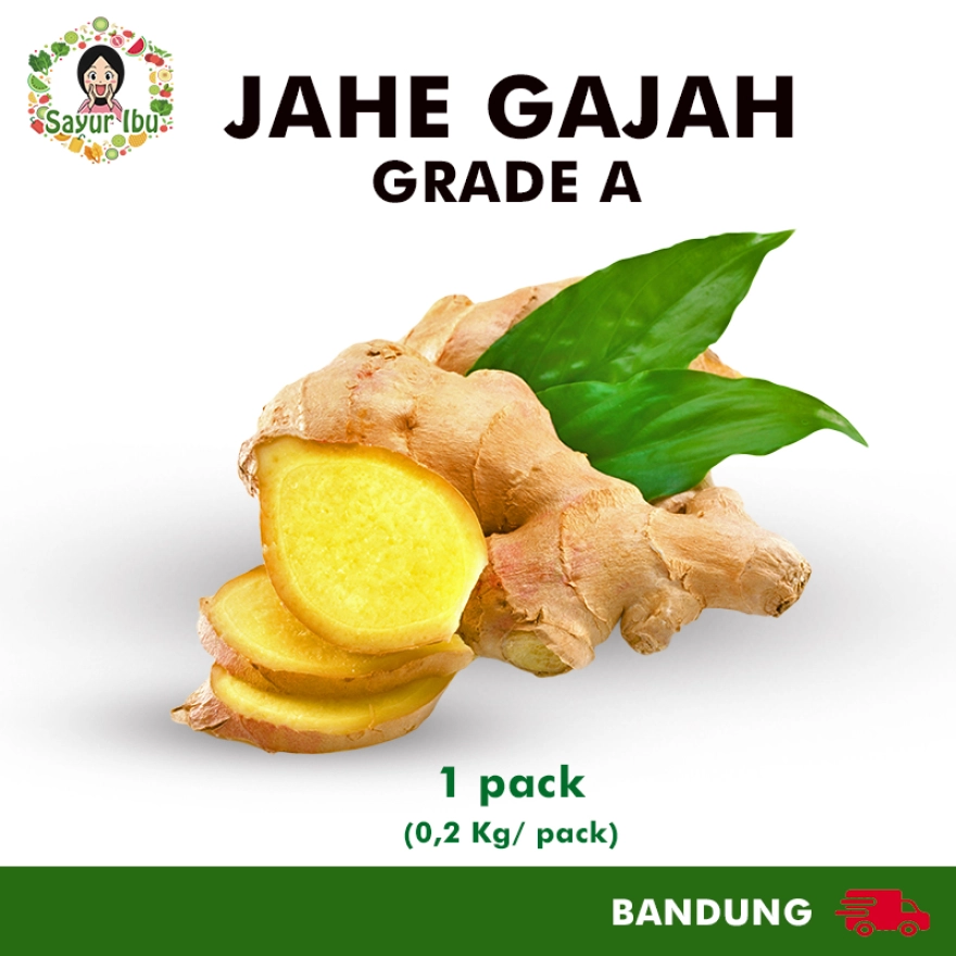 Detail Gambar Jahe Kunyit Cabe Terong Nomer 37