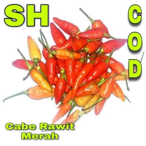 Gambar Jahe Kunyit Cabe Terong Cabe - KibrisPDR