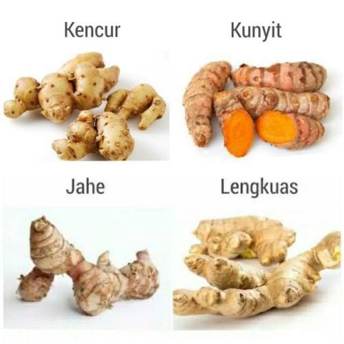 Gambar Jahe Kunyit Cabe Terong Gambar Kunyit - KibrisPDR
