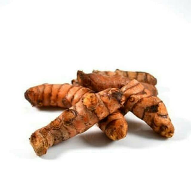 Detail Gambar Jahe Kunyit Cabe Terong Gambar Kunyit Nomer 14