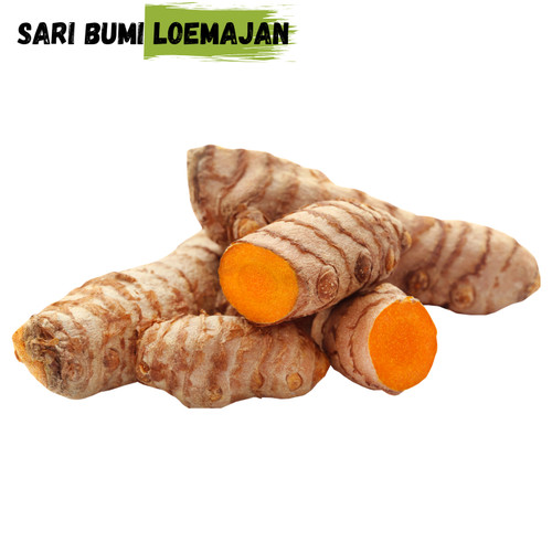 Detail Gambar Jahe Kunyit Cabe Terong Gambar Kunyit Nomer 15