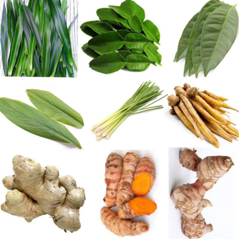 Detail Gambar Jahe Kunyit Cabe Terong Gambar Kunyit Nomer 16