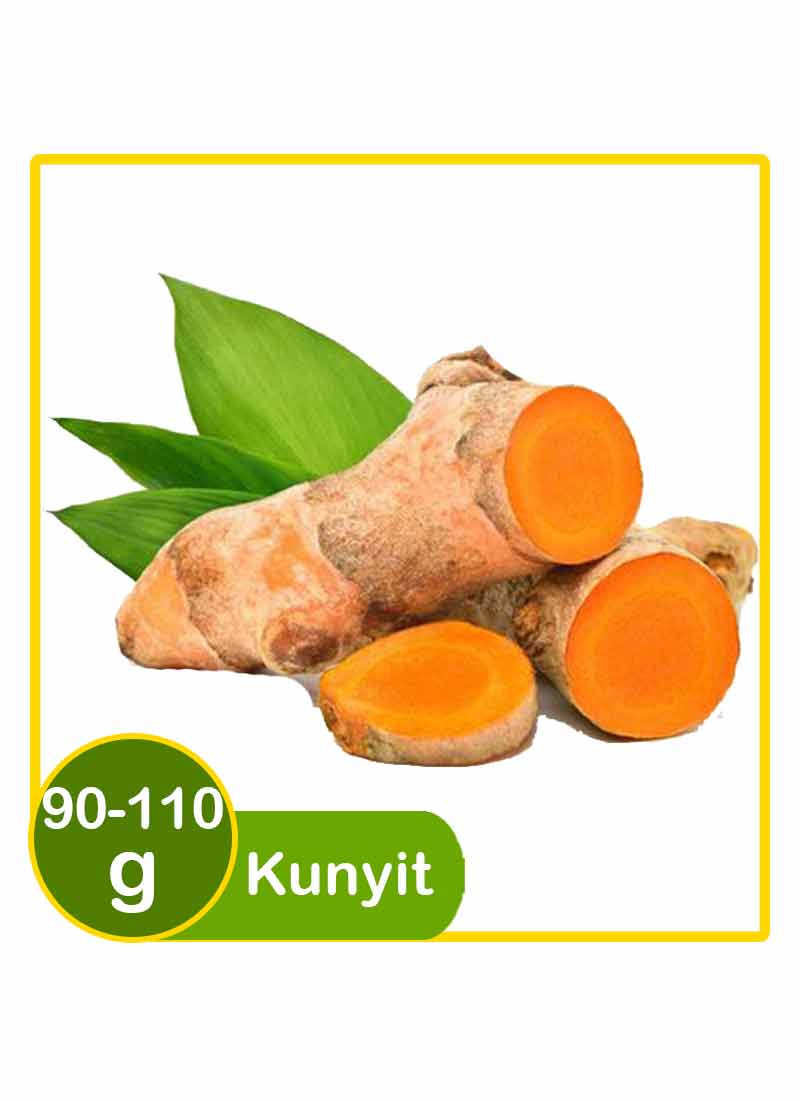 Detail Gambar Jahe Kunyit Cabe Terong Gambar Kunyit Nomer 18