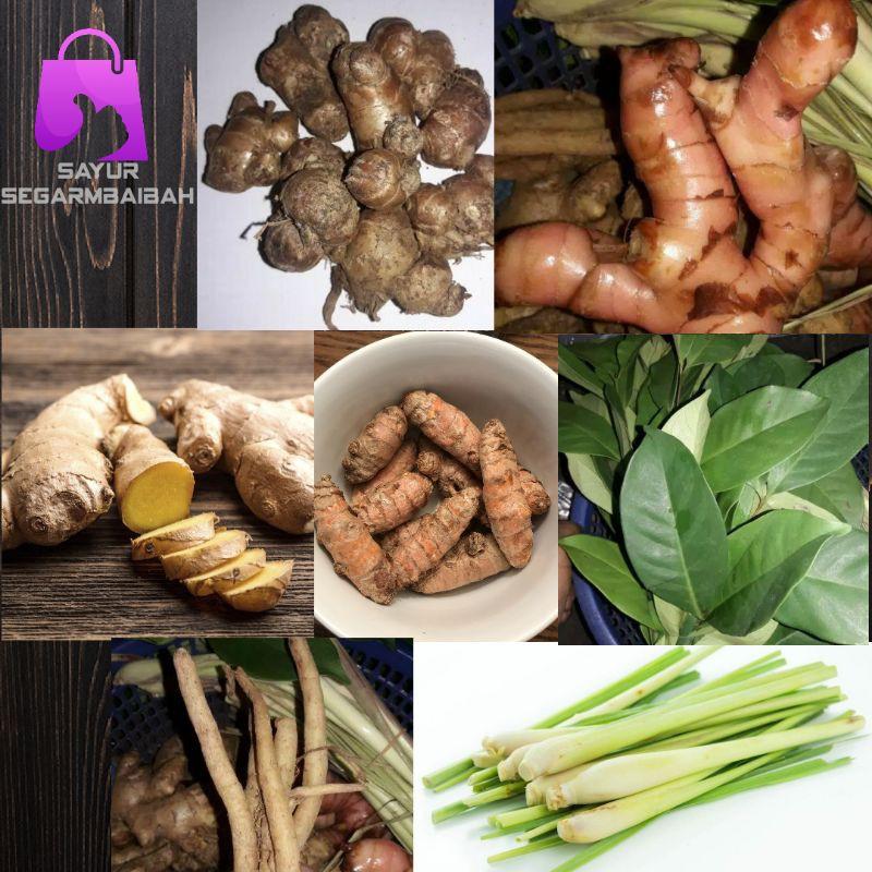 Detail Gambar Jahe Kunyit Cabe Terong Gambar Kunyit Nomer 3