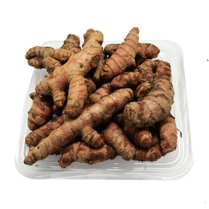 Detail Gambar Jahe Kunyit Cabe Terong Gambar Kunyit Nomer 22