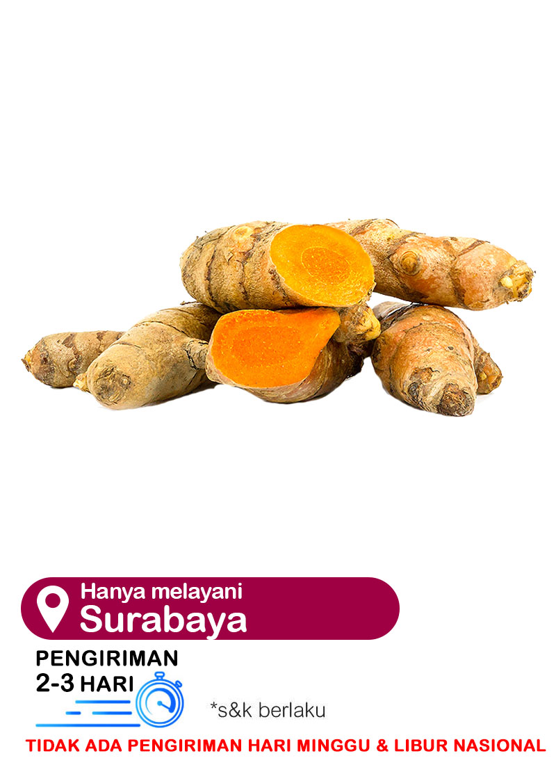 Detail Gambar Jahe Kunyit Cabe Terong Gambar Kunyit Nomer 26