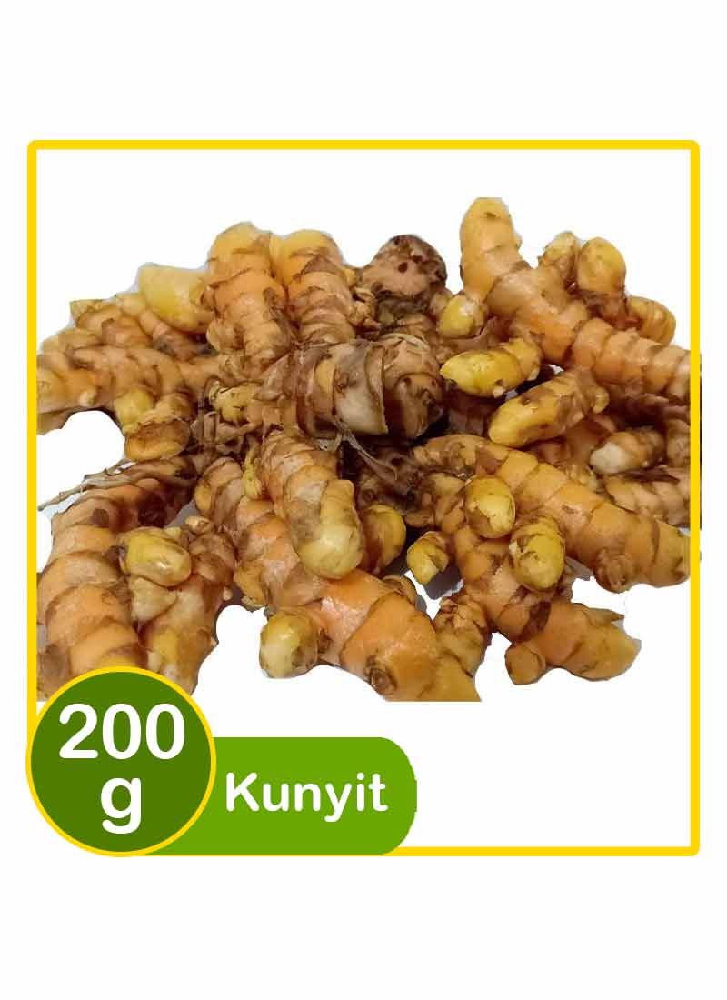 Detail Gambar Jahe Kunyit Cabe Terong Gambar Kunyit Nomer 27