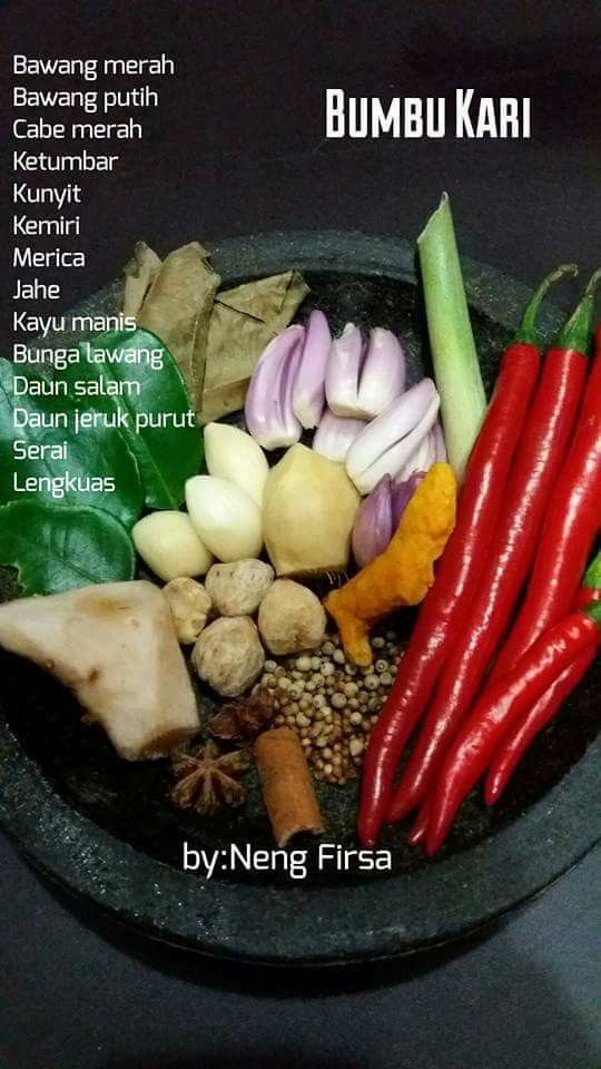 Detail Gambar Jahe Kunyit Cabe Terong Gambar Kunyit Nomer 31