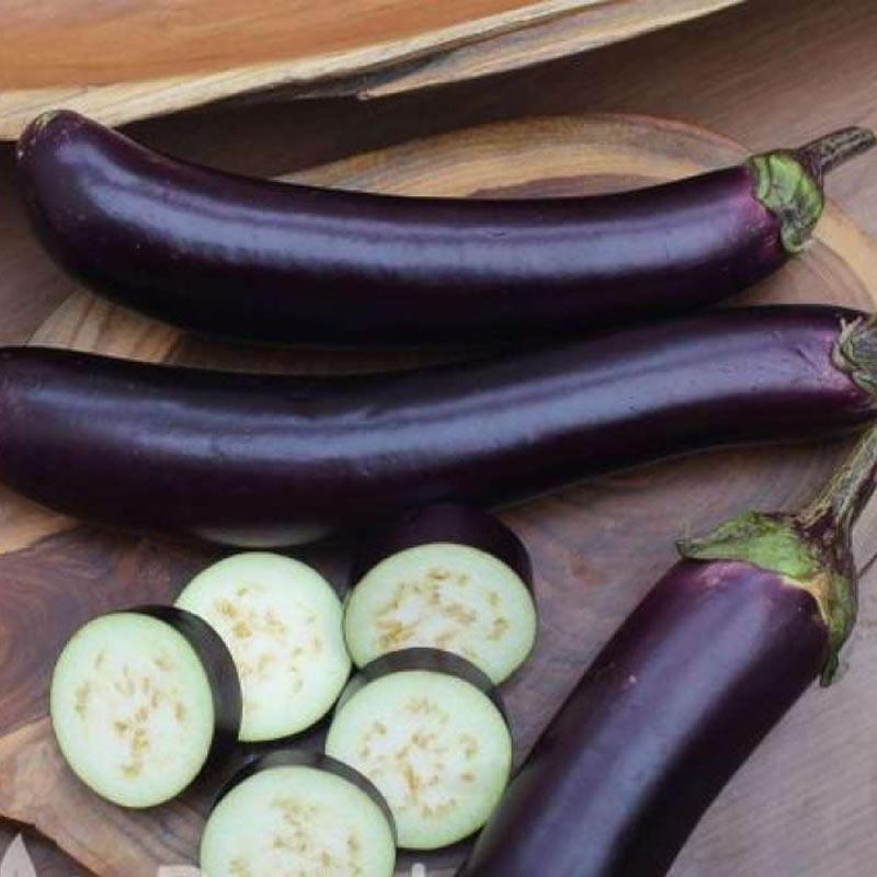 Detail Gambar Jahe Kunyit Cabe Terong Gambar Kunyit Nomer 6