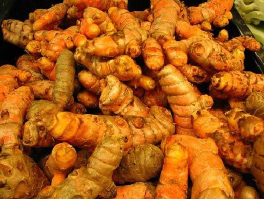 Detail Gambar Jahe Kunyit Cabe Terong Gambar Kunyit Nomer 9