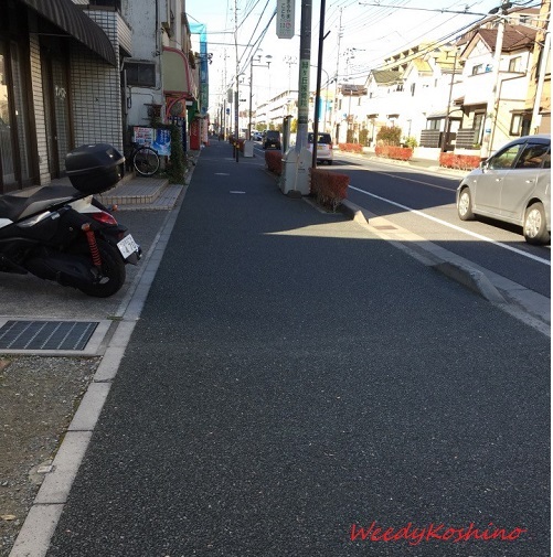 Detail Gambar Jalan Di Jepang Nomer 37