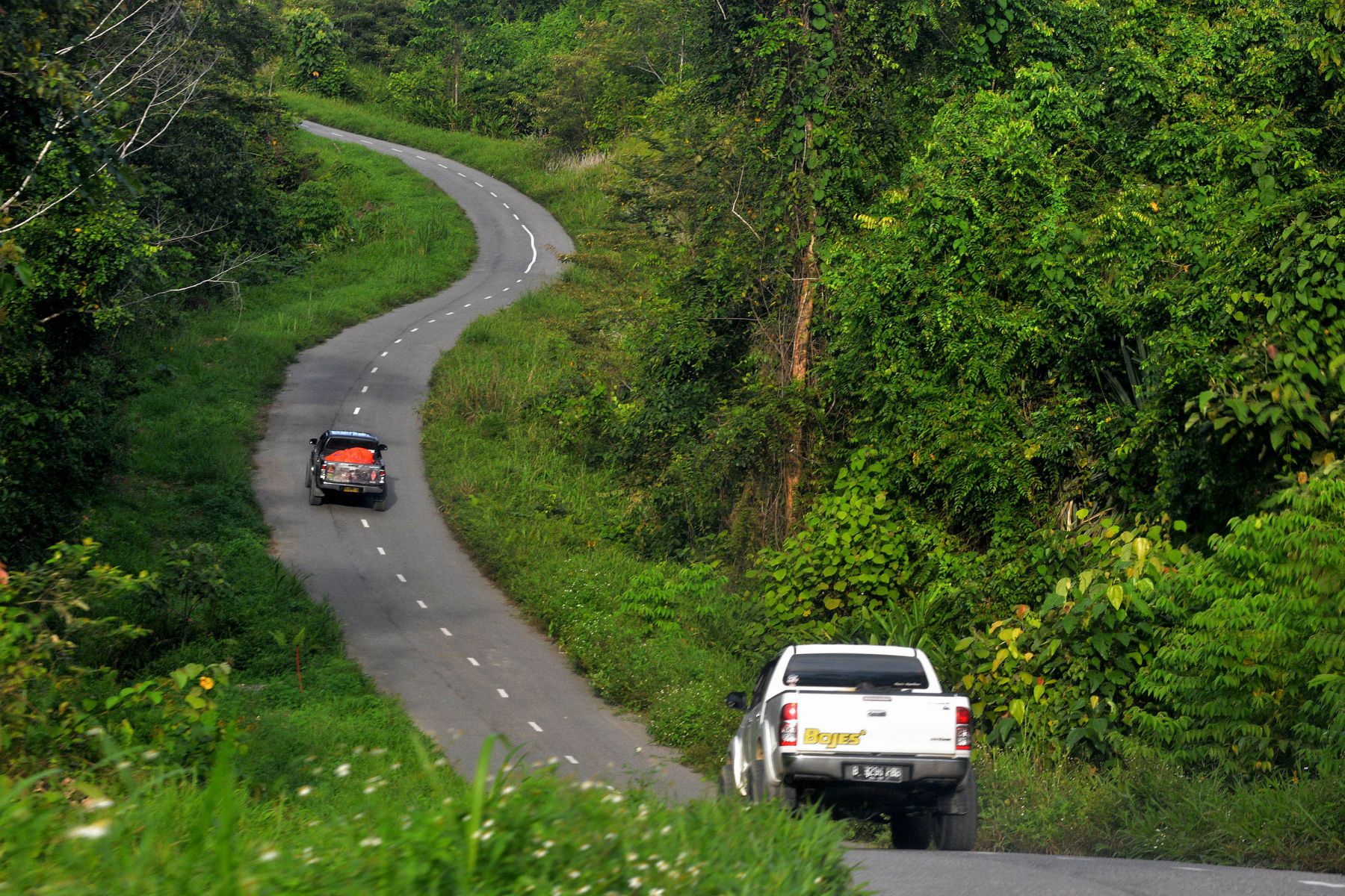 Detail Gambar Jalan Trans Papua Nomer 6