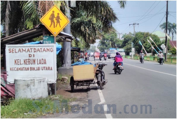 Detail Gambar Jalan Yang Ada Di Perkebunan Besar Nomer 35