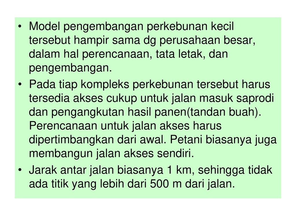 Detail Gambar Jalan Yang Ada Di Perkebunan Besar Nomer 42