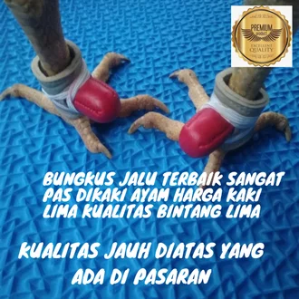 Detail Gambar Jalu Ayam Nomer 34