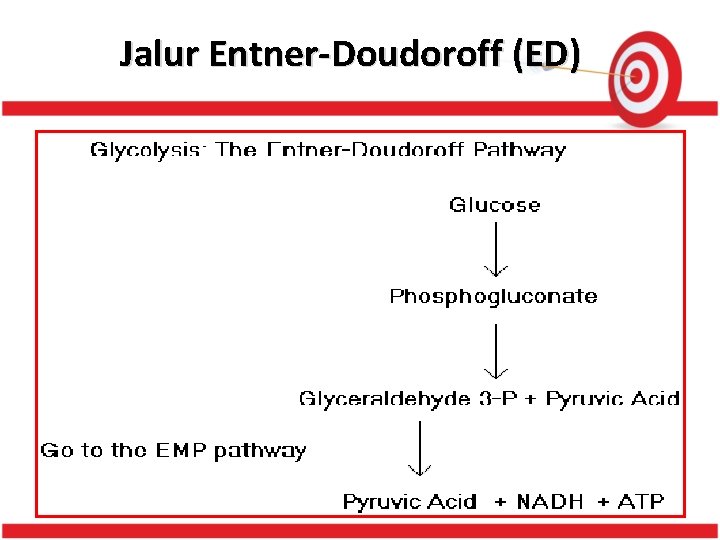 Detail Gambar Jalur Emp Nomer 10