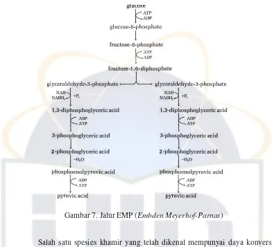 Detail Gambar Jalur Emp Nomer 22