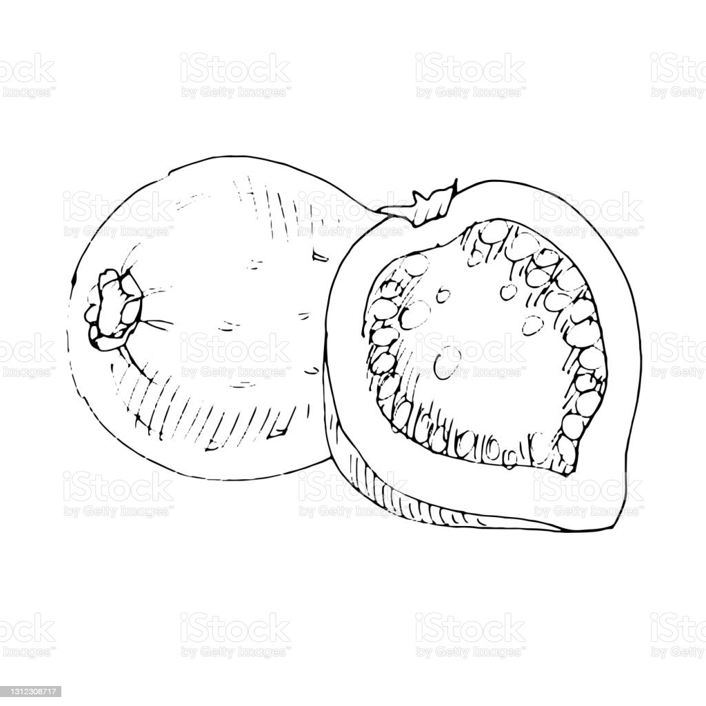 Detail Gambar Jambu Hitam Putih Nomer 13