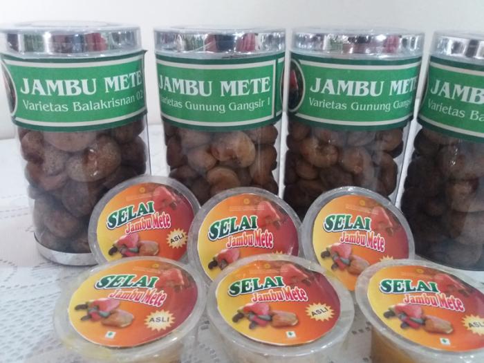 Detail Gambar Jambu Mete Nomer 32