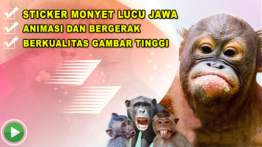 Detail Gambar Jambu Monyet Lucu Nomer 55