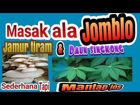 Detail Gambar Jamur Dan Singkong Nomer 31