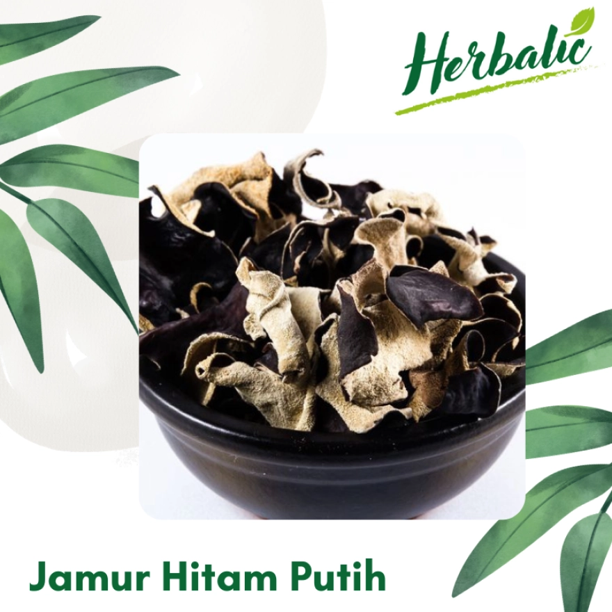 Detail Gambar Jamur Hitam Putih Nomer 31