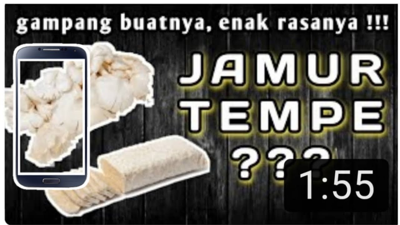 Detail Gambar Jamur Tempe Nomer 35