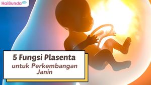 Detail Gambar Janin 10 Minggu Nomer 31